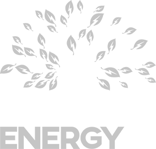 JOY ENERGY SAS LOGO
